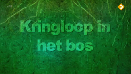 De Buitendienst  | Kringloop in het bos